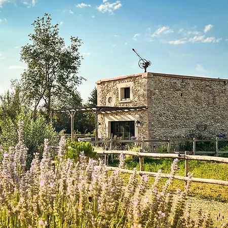 Au Milieu Des Vignes